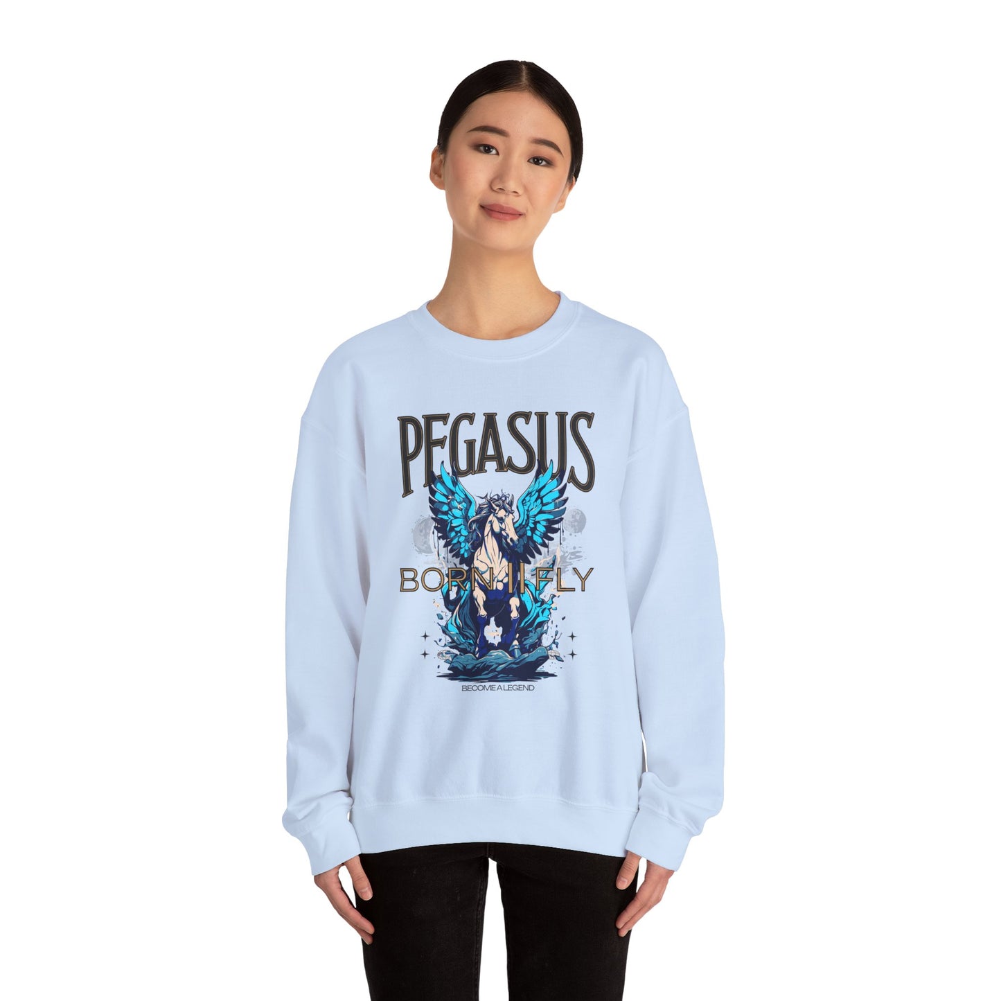 Pegasus Graphic Sweater for Fantasy Lovers - Phoenix Wear SATX